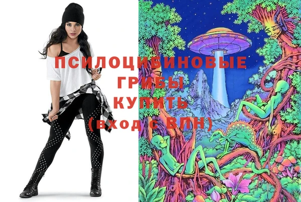 каннабис Коряжма
