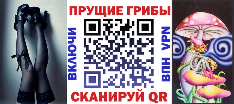 Псилоцибиновые грибы GOLDEN TEACHER  дарнет шоп  Бердск 