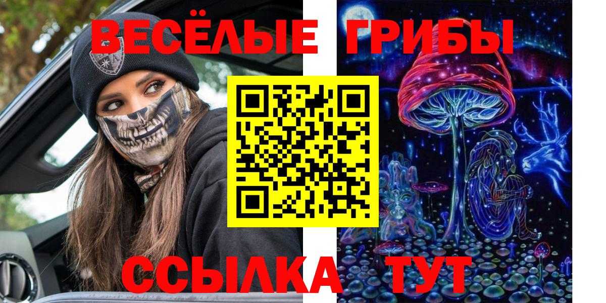 Бердск  Галлюциногенные грибы MAGIC MUSHROOMS  Вход с VPN  Псилоцибиновые грибы мухоморы 