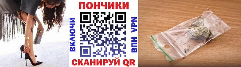 купить  цена  Бердск  Конопля семена 