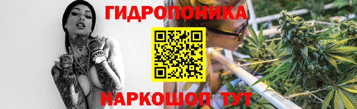Канабис VHQ Бердск